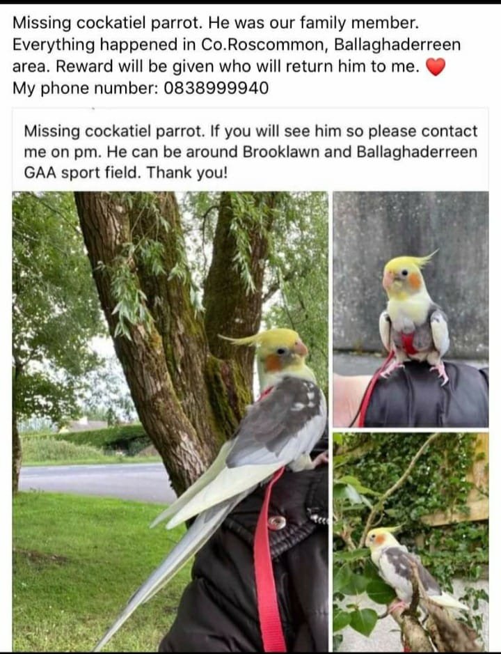 Ballaghaderreen Family Resource Centre tweet media