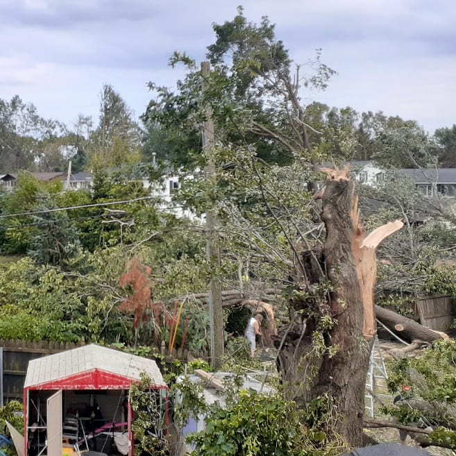 MomThirty's tweet photo. I am trying to spread the word to help and if you are reading this, please help by sharing. It's the least we can do and it only takes a second to share.
#IowaDerecho #iowaweather #Iowahurricane #IowaStorms #midwest #derecho2020 #derecho #fema #HelpIowa #HelpIowaOut #CedarRapids https://t.co/ts77vOALp8