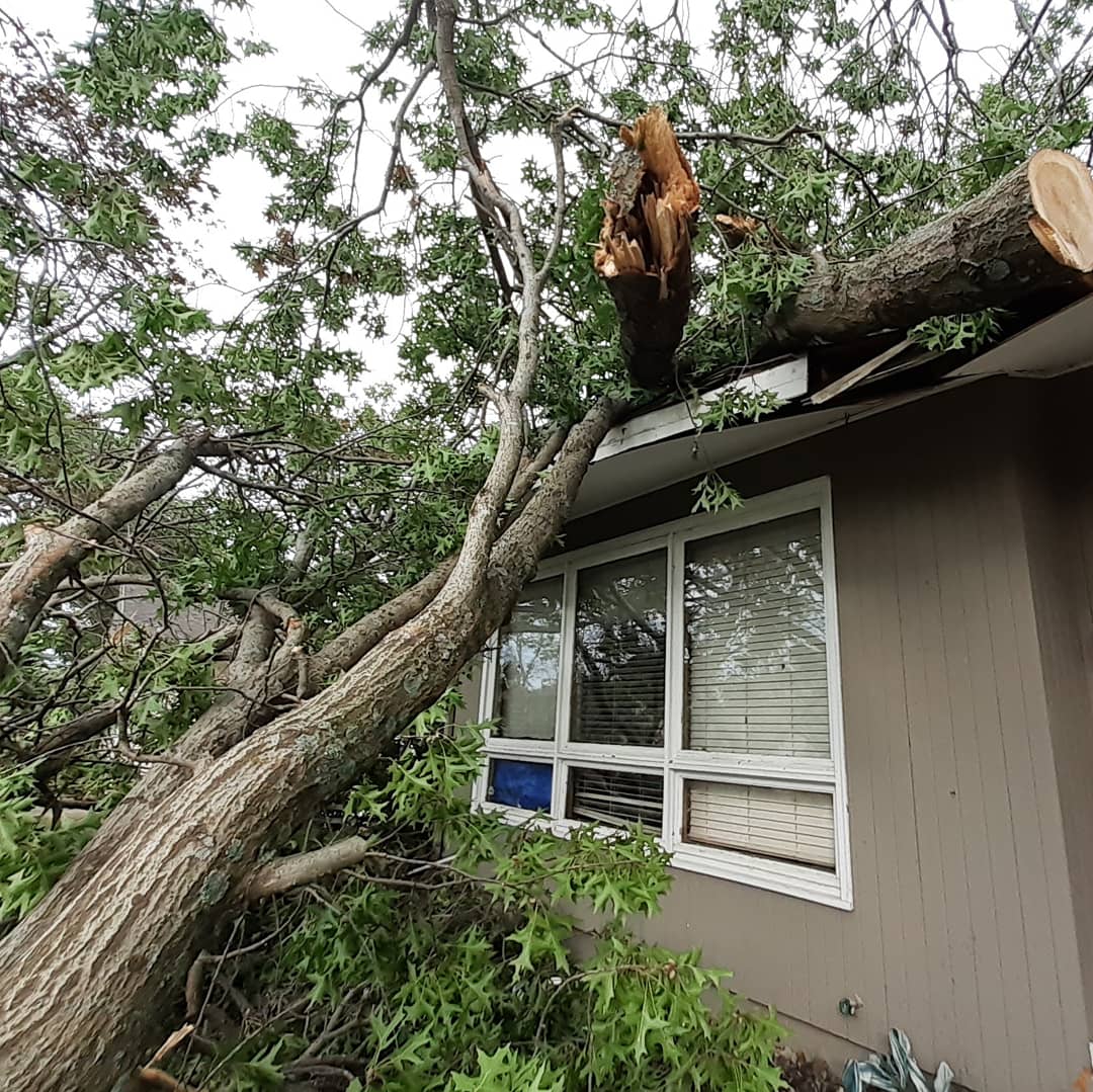 MomThirty's tweet photo. I am trying to spread the word to help and if you are reading this, please help by sharing. It's the least we can do and it only takes a second to share.
#IowaDerecho #iowaweather #Iowahurricane #IowaStorms #midwest #derecho2020 #derecho #fema #HelpIowa #HelpIowaOut #CedarRapids https://t.co/ts77vOALp8