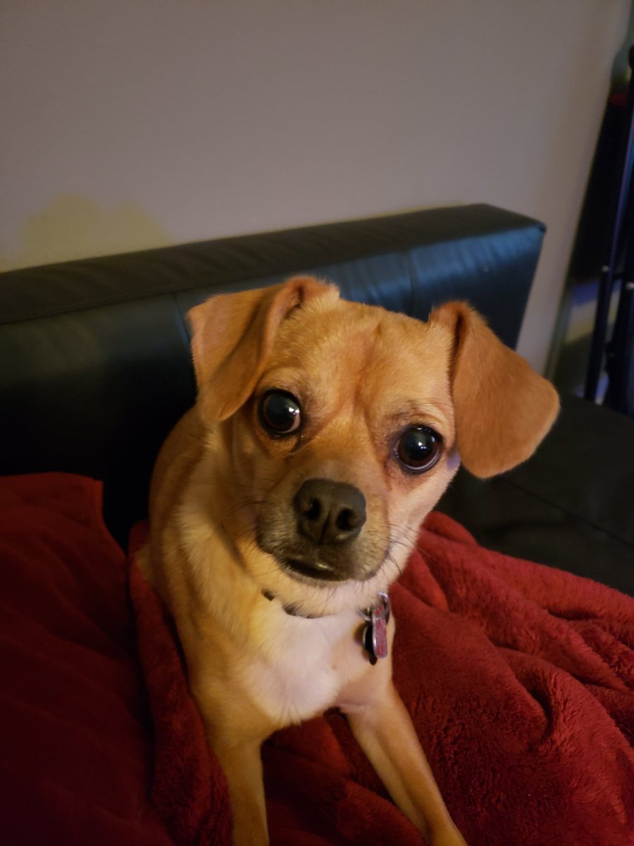 SOMEONE ELSE OUT NOW tweet media