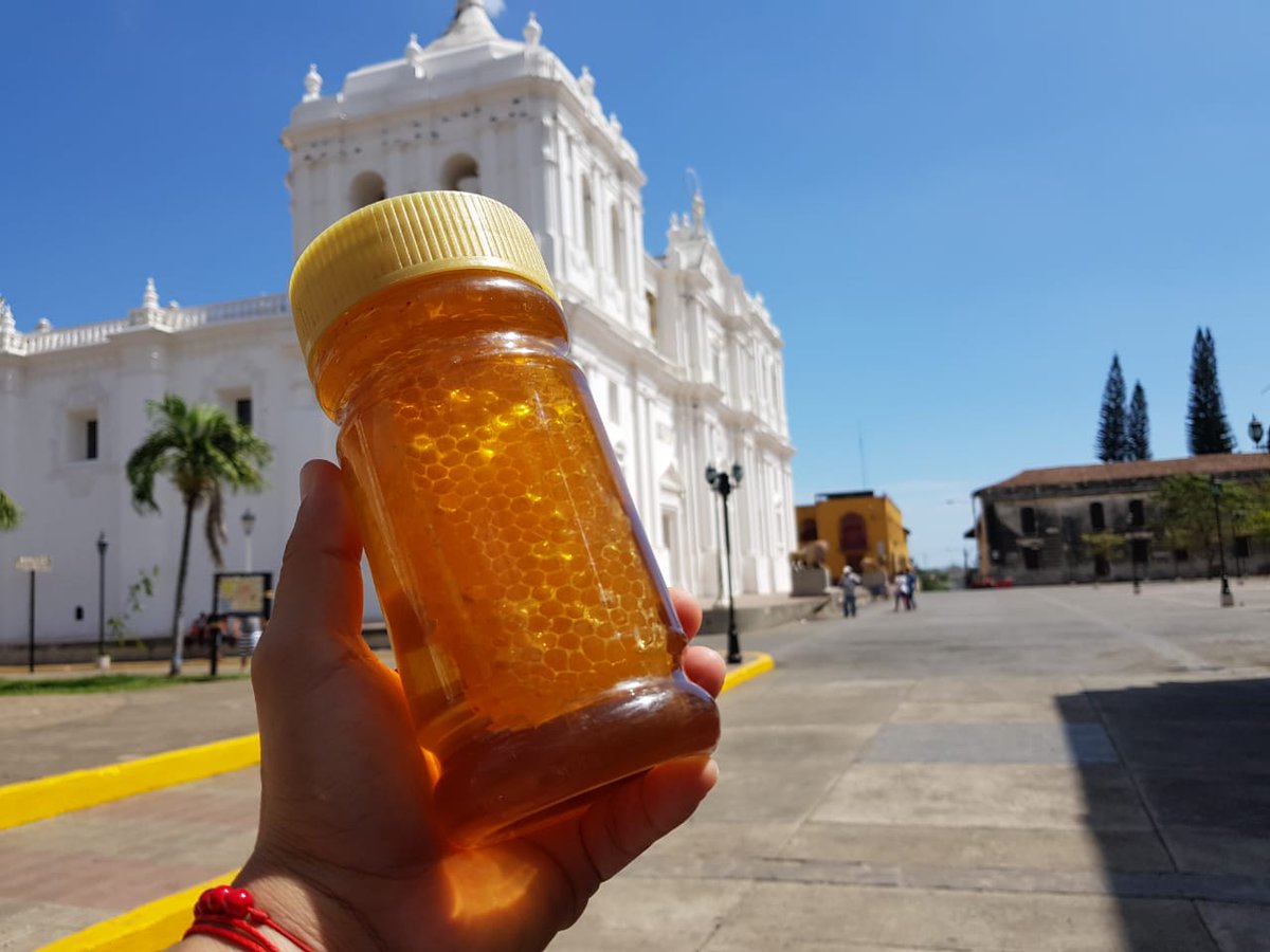 EdithR86341313's tweet photo. Productores de miel de abeja en las comunidades de Miramar y Lechecuagos. Municipio de León Acompañados técnicamente por INTA 
#NicaraguaLinda 
#Revolucion https://t.co/RaAnKJBh1R