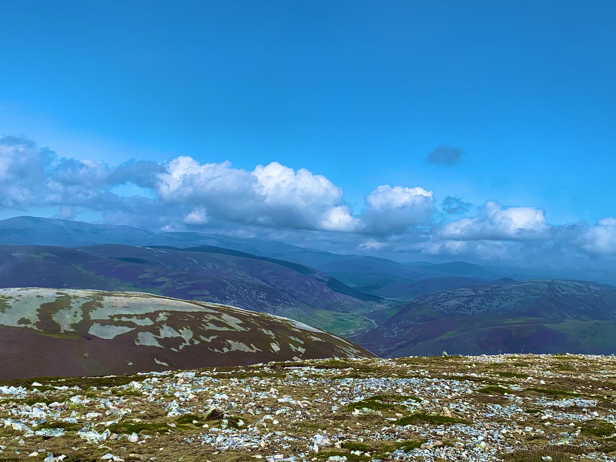 VoxelH's tweet image. Climbed Càrn Aosda, Càrn a' Gheòidh and The Cairnwell today 😅 wish the cable cars were running would’ve made it a lot easier