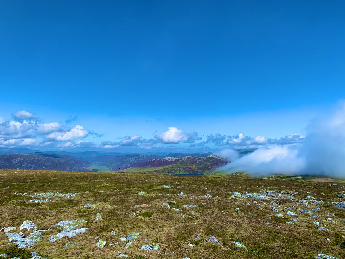 VoxelH's tweet image. Climbed Càrn Aosda, Càrn a' Gheòidh and The Cairnwell today 😅 wish the cable cars were running would’ve made it a lot easier