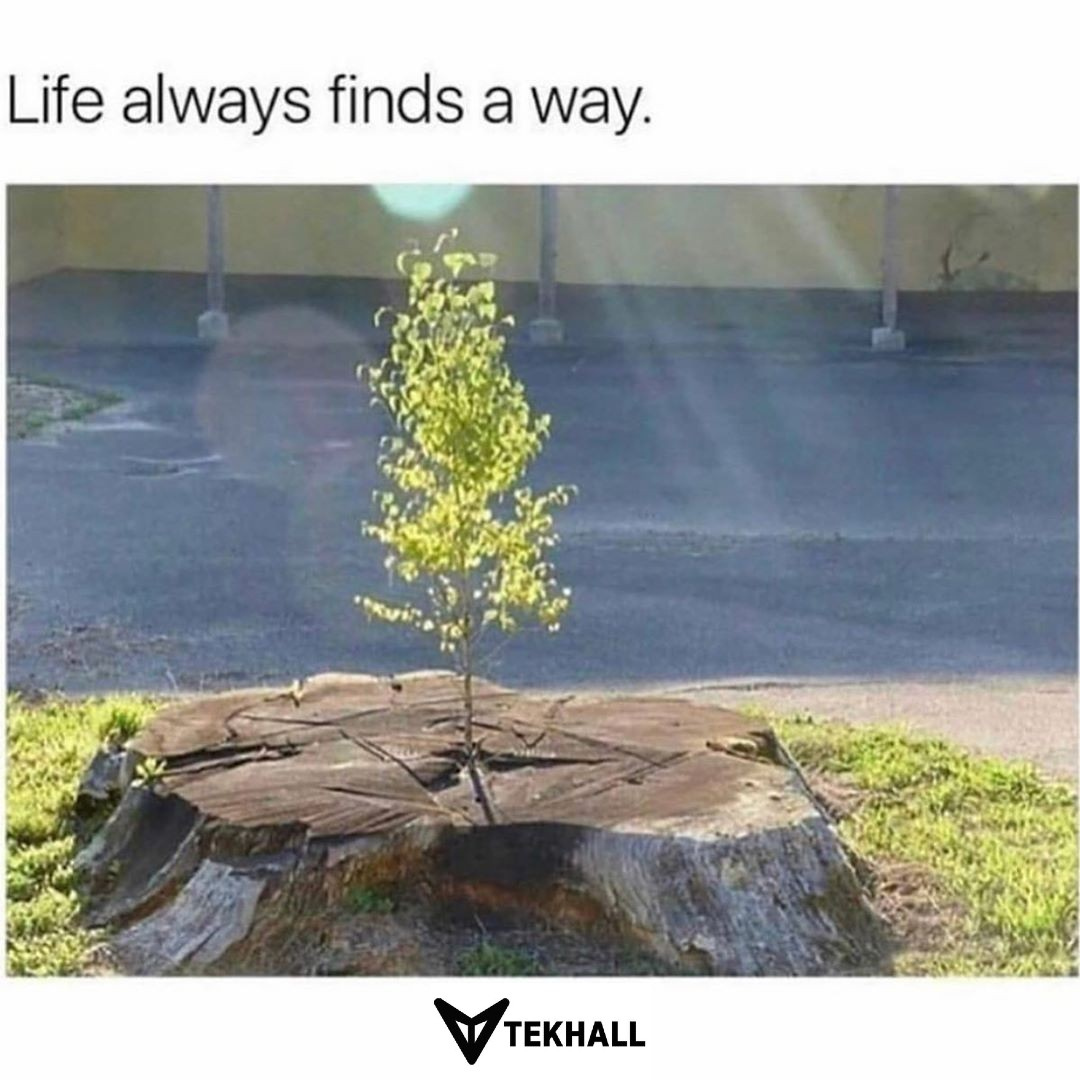 always 🙌

#tekhall
