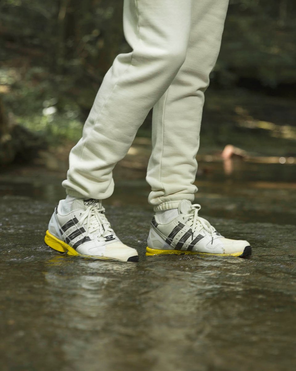 adidas zx 8000 superstar