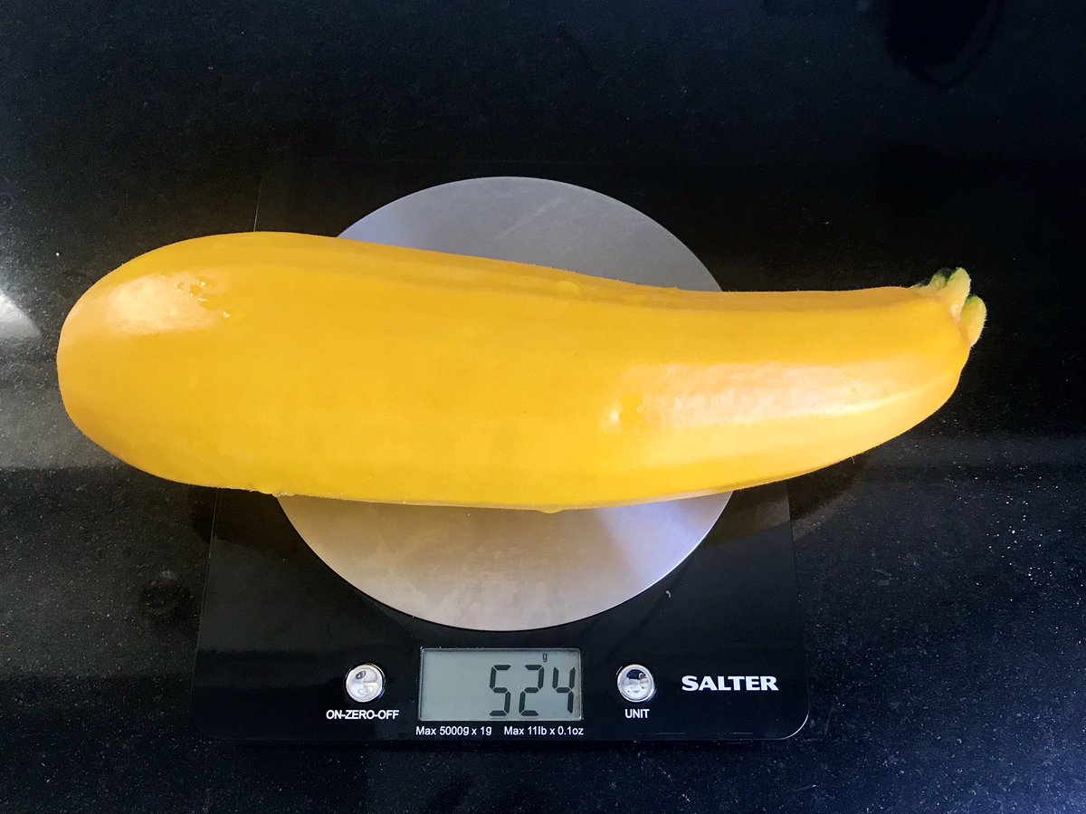 JHillCBE's tweet photo. @DebraBtint โ๐ผHello back! #YellowCourgette ๐๐ผ๐๐ผ https://t.co/SKhb8D0Wvx