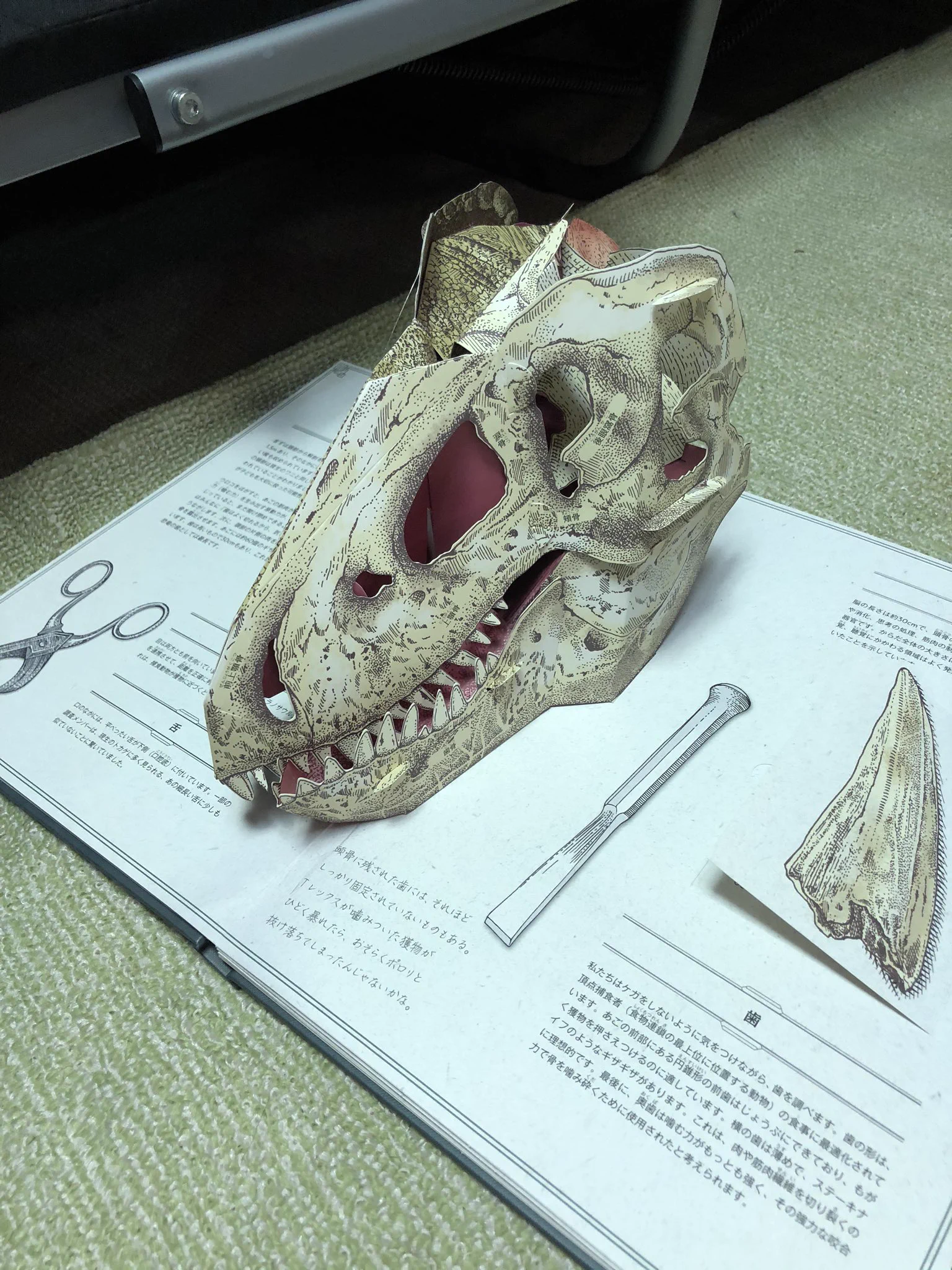 控えめに言って凄い！恐竜の飛び出す絵本がクオリティ高い！