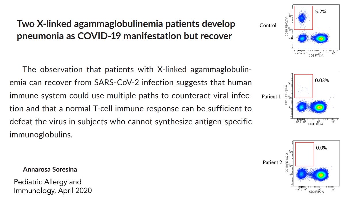 A tipoff from April were the 2 patients reported without antibodies (X-linked agammaglobulinemia) who fully recovered from covid https://onlinelibrary.wiley.com/doi/epdf/10.1111/pai.13263