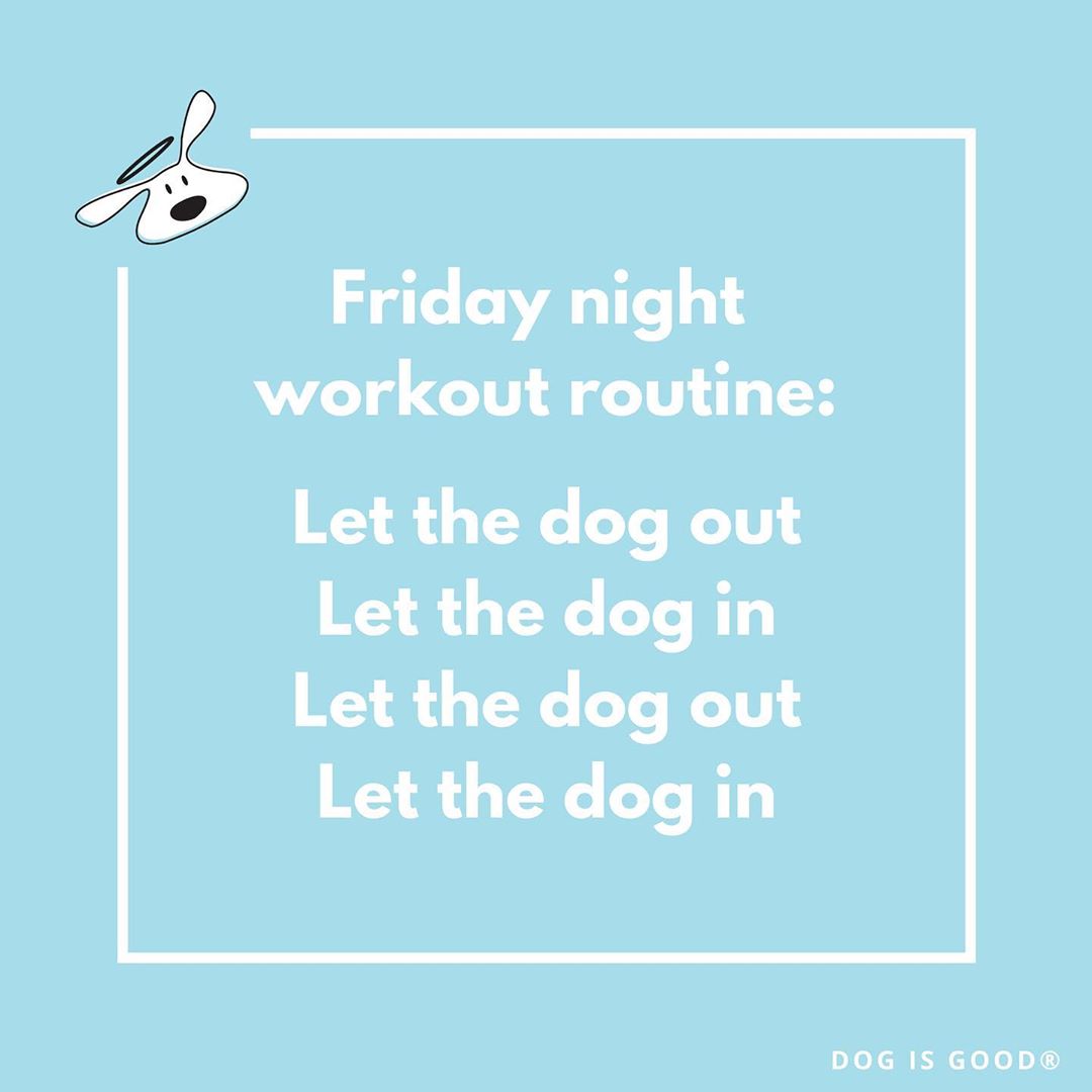 If this is what your #Friday looks like, you’re not alone. <a href="/dogisgood/">Dog is Good</a> with the truth! #CommentsByCustomers #FridayFeeling #FridayThoughts