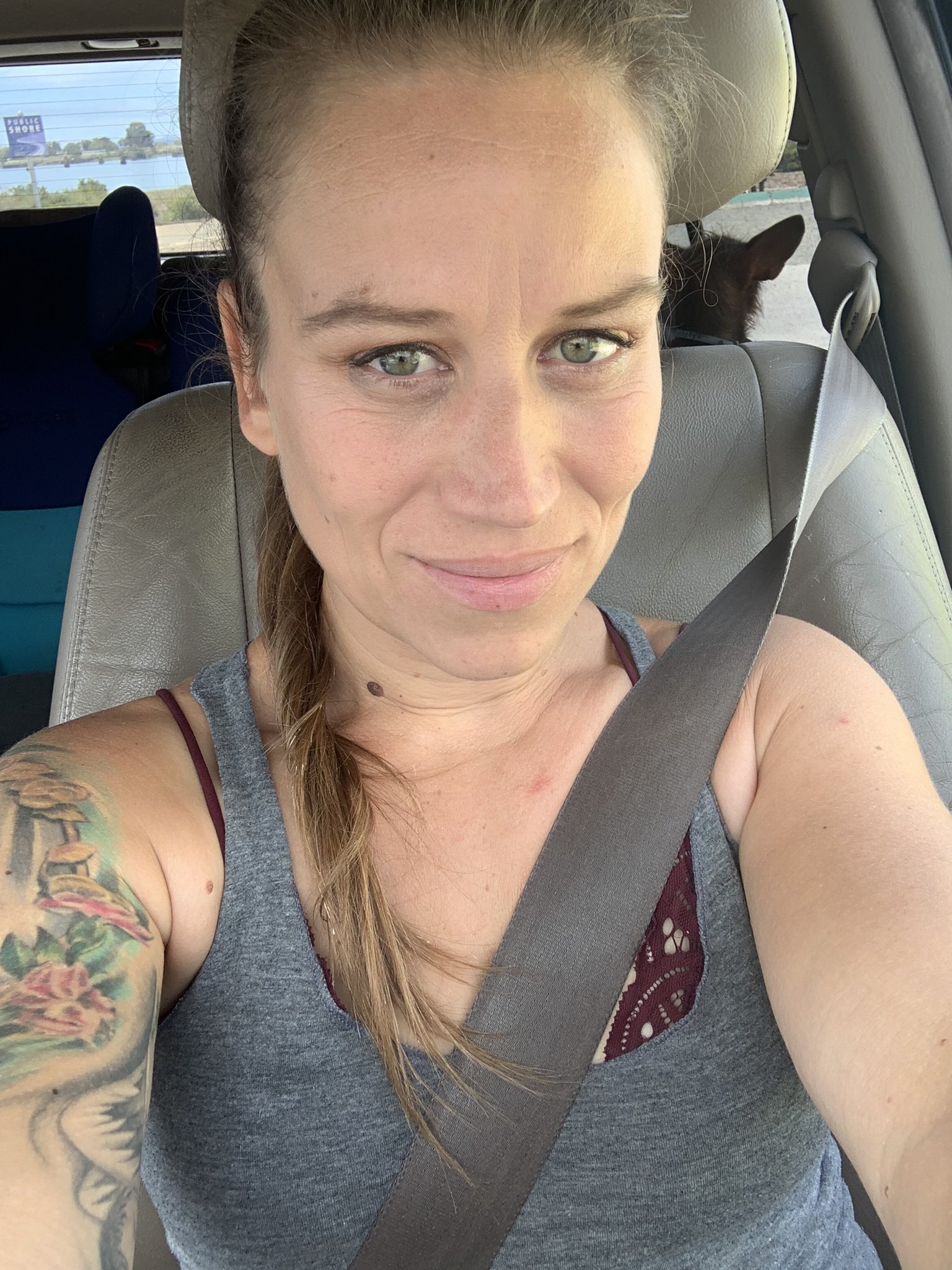 TW Pornstars - Bella Wilde (she/her). Twitter. I did some stuff with @daddywildex for