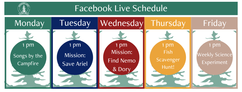 ShadowLakeCtr's tweet photo. Everything's better down where it's wetter, Under the Sea! Join us next Monday -Friday at 1pm for a week filled with "Under The Sea" fun! #SLFacebookLive #UnderTheSeaWeek #ItsBetterAtTheLake #StayHomeToComeHome https://t.co/o6ya7YYuji