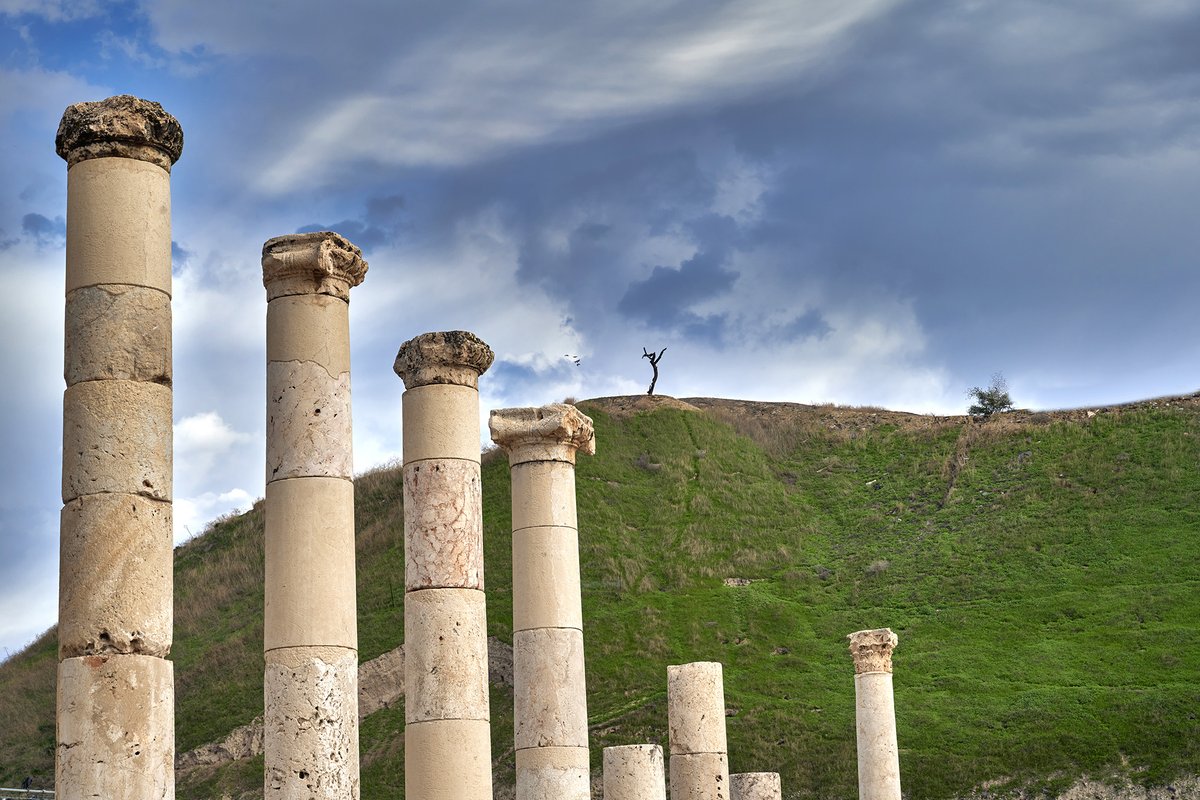 BarryGassMedia's tweet photo. Israel Mysteries - A solitary dead tree silhouette on the hill above seems to be raising it’s arms in the air to the clouds.  The ruins  of the ancient Roman city of Scythopolis below are scattered survivors of time past.  Tel Beit Shean Park #israel #galilee #travelphotography https://t.co/rc1902VpoJ