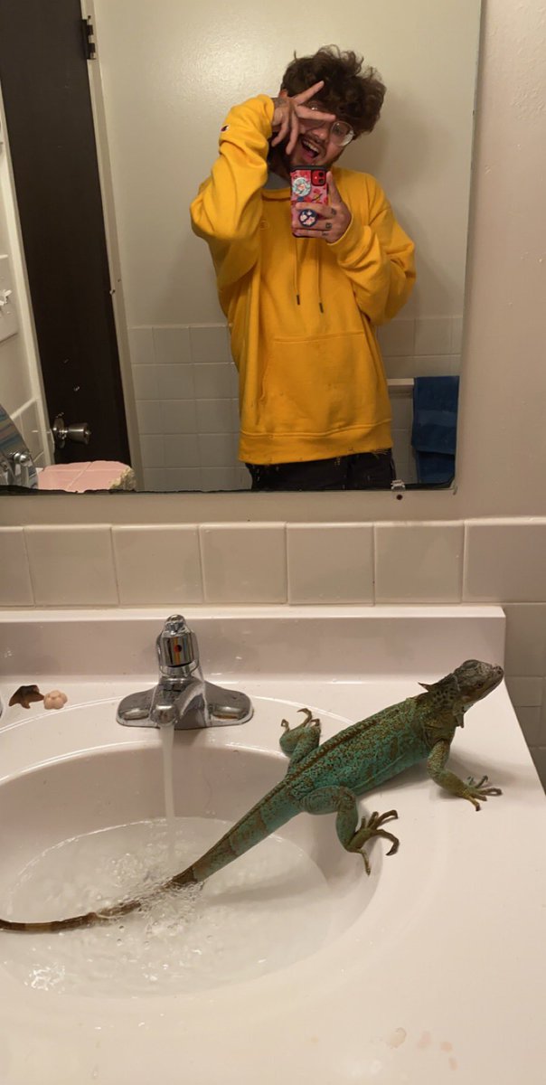 WonTonJonProd's tweet photo. Just a quick lizard flexx💐✨🦎 https://t.co/aPYa2Yb6GG