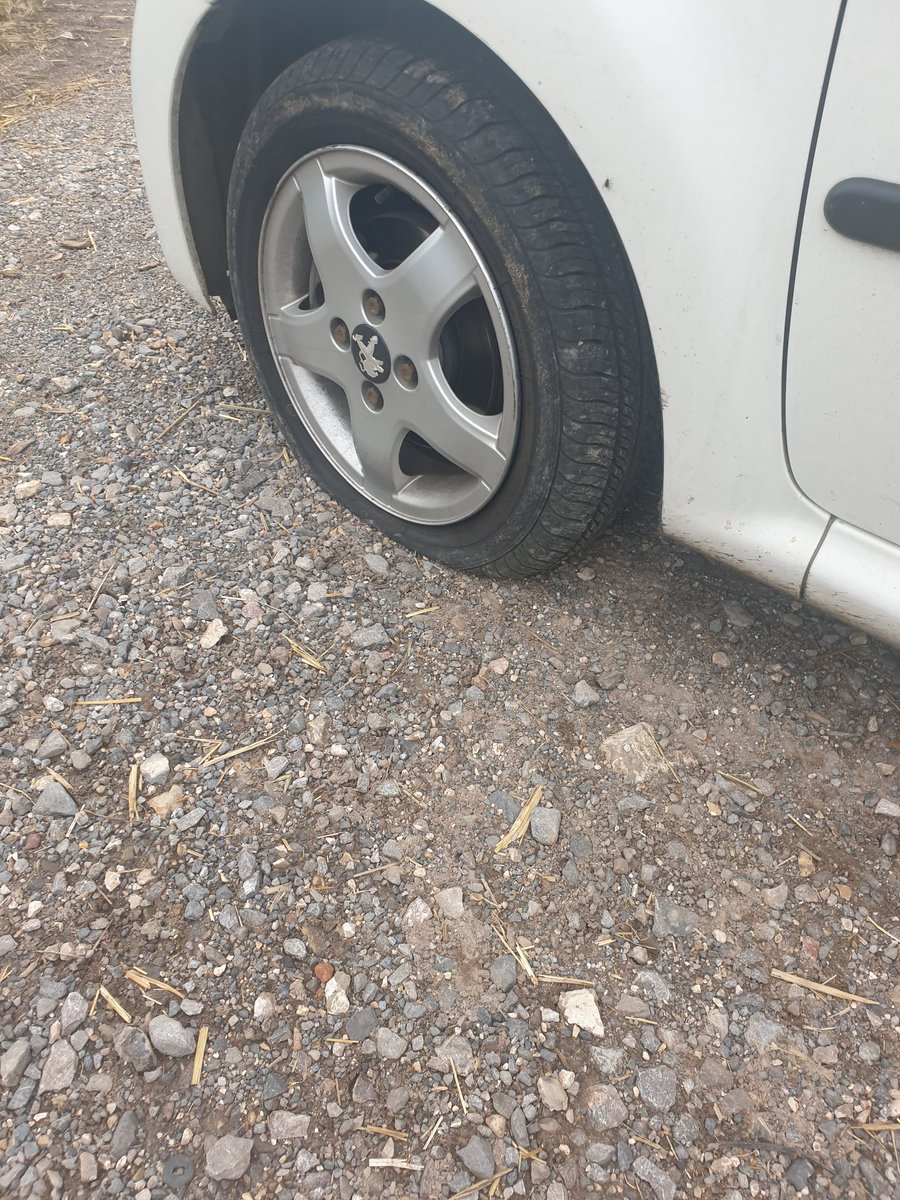 bailey_and_jane's tweet image. I think I'm going to cry, its been a long week, I know have to work 9 days in a row, just had this changed and it a bloody pot hole #notmyweek #givingup