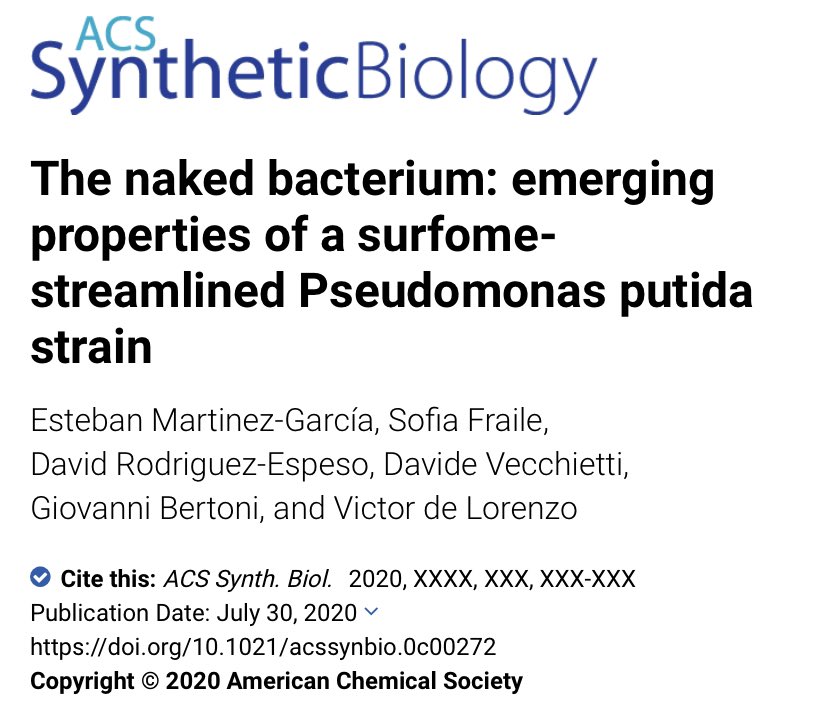 vdlorenzo_CNB's tweet photo. What happens when one undresses the surface of P. putida? That now you can redress cells with your fav apparel 😃  Emerging properties of a surfome-streamlined Pseudomonas putida strain https://t.co/dVGTI8QTxt https://t.co/KI4dFp8U93