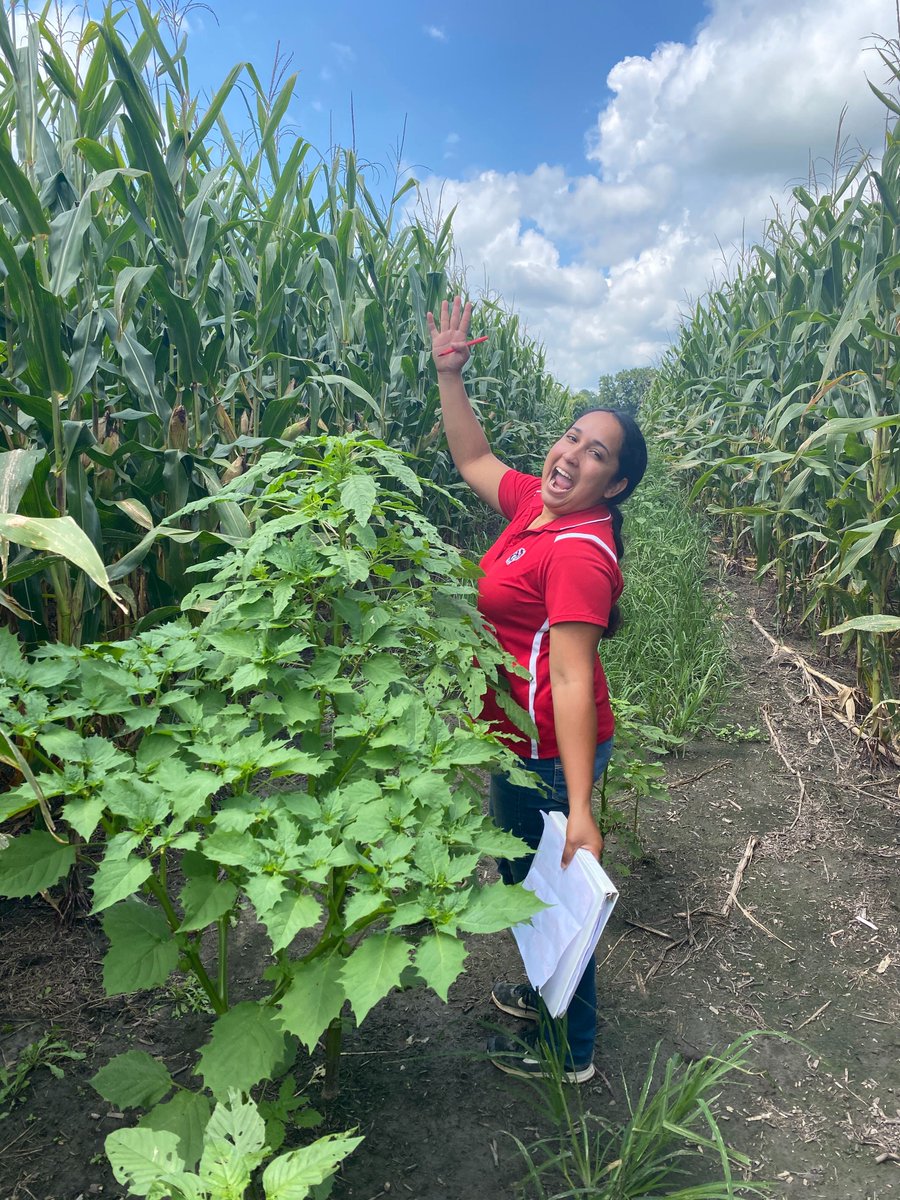 Lindsey Thiessen (@lindsthiessen) on Twitter photo Rating corn and finding this gem! What a fun birthday surprise (Happy birthday, Yara!) <3 Weeds as big as <a href="/yara_rosado/">Yara I. Rosado</a> Rating corn and finding this gem! What a fun birthday surprise (Happy birthday, Yara!) <3 Weeds as big as <a href="/yara_rosado/">Yara I. Rosado</a>