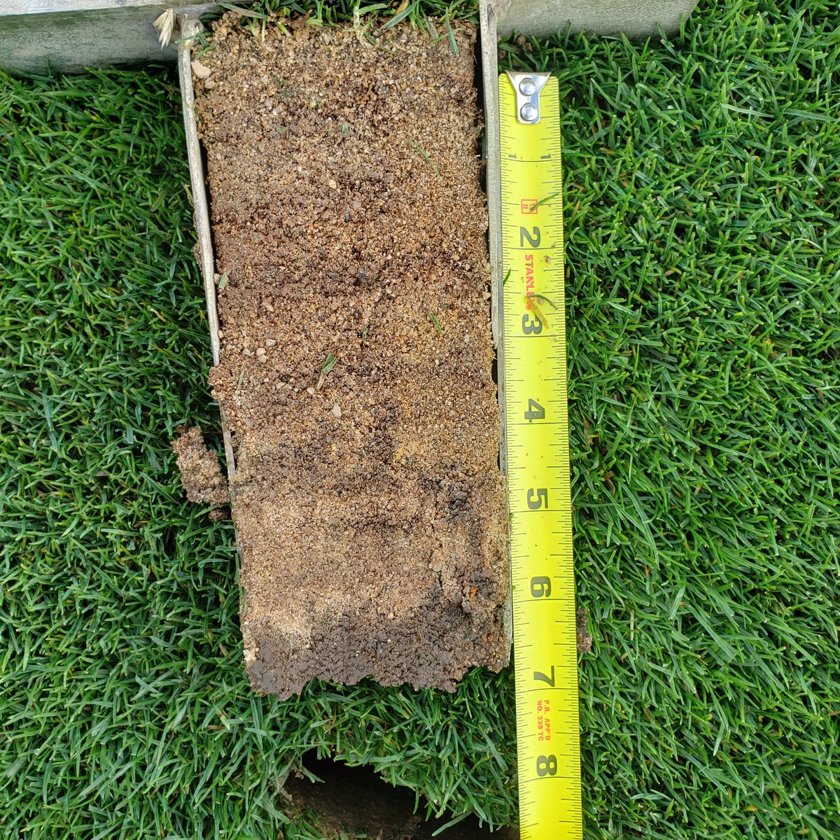 KevinHauschel's tweet photo. Pre-aerification, I love to check our profiles on greens, aprons, and fwys!! Our topdressing program is paying off big time across the property!! Course is defintely ready for the 211 tons of sand!! #dilution #Sandman #needleisfinallymoving #fastandfirm #tournamentseason https://t.co/4LGmU7hvVz