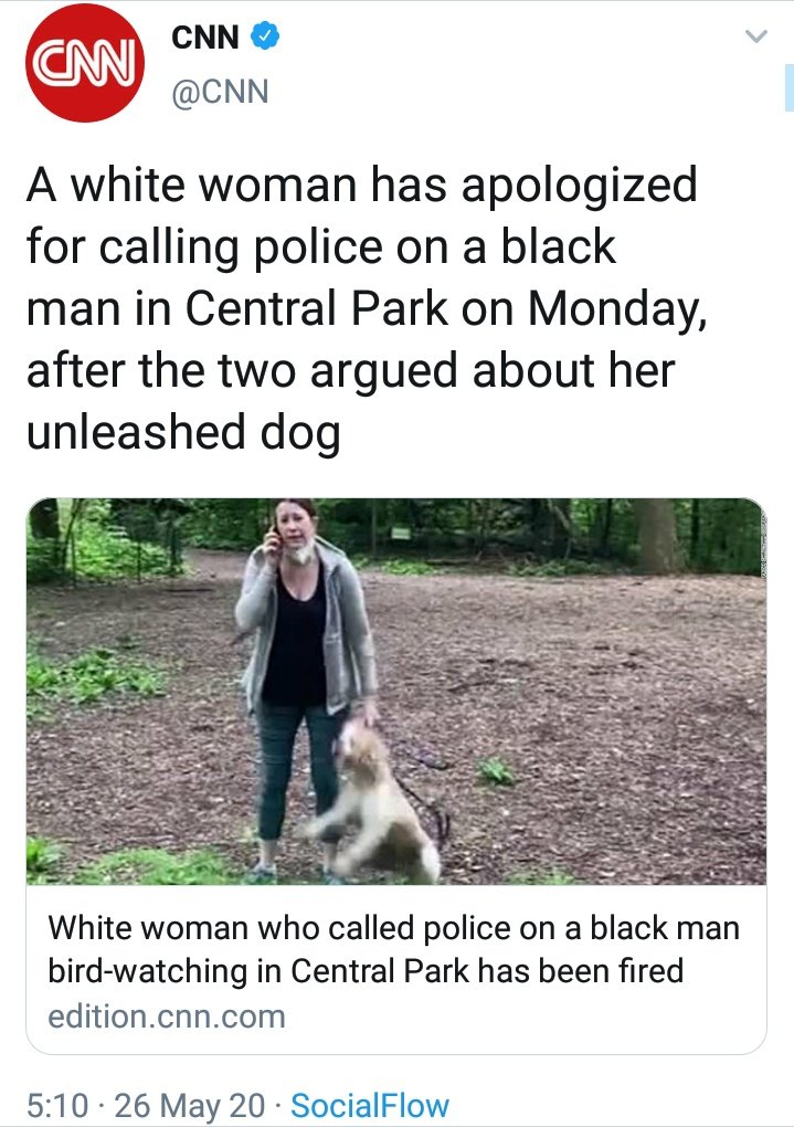 US Rebel tweet media