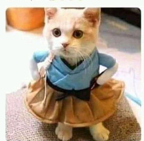 How last borns look at you when you are helping them to open their biscuits and sweets packs😂😂