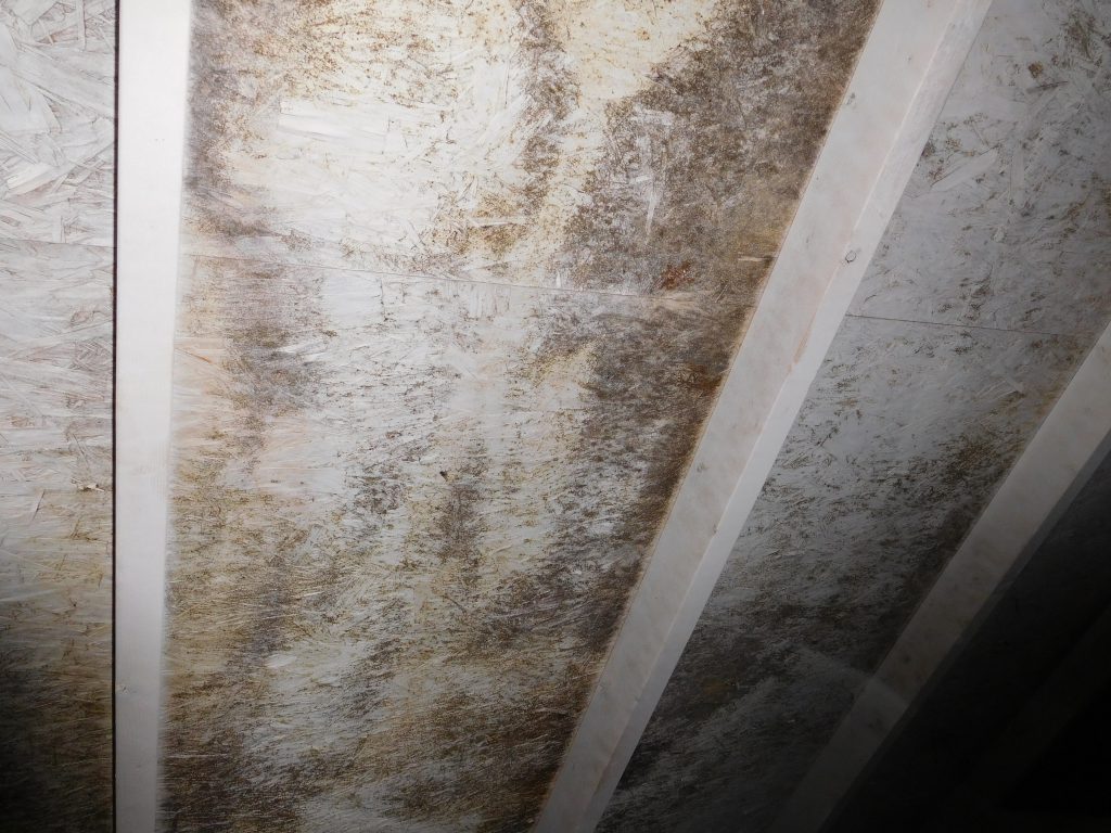 moldodorguykzoo's tweet photo. Could Mold in My Attic Impact the Resale Value of My House?
YES, mold can impact resale value. Have attic mold problems treated professionally BEFORE listing your home!
.
.
.
.
#HomeForSale #RealEstate #ResaleValue #TheMoldGuy #BreakTheMold #MoldRemoval #Remediation #MoldGuy https://t.co/7pYO5i94jd