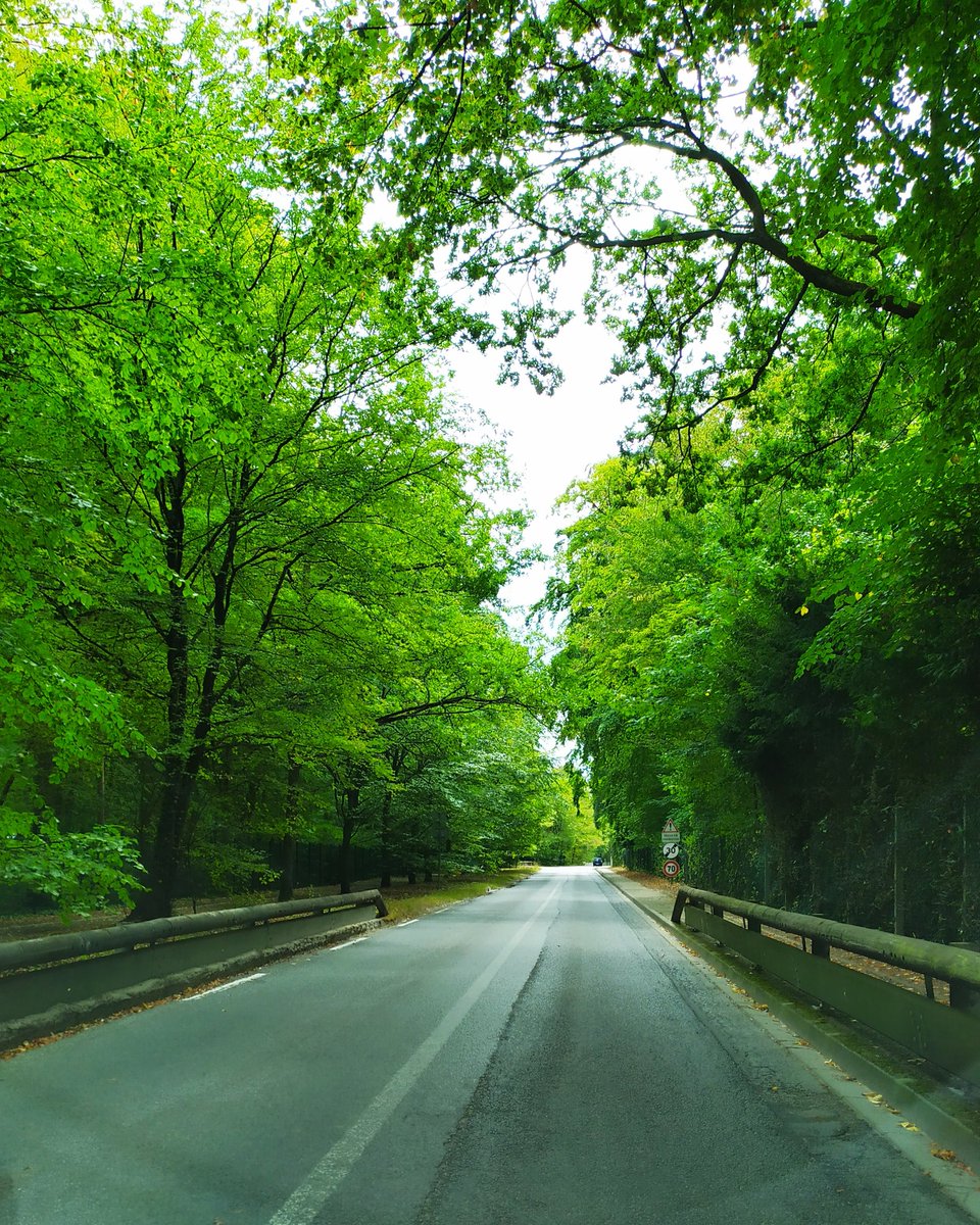 angelikadelf's tweet photo. Bonjour mes amis
Sometimes it is good to stop rushing, change your routine and just turn right instead of left. Who knows, you may realize there is magic around you π
#WritingCommunity
#lovenature
#lifeisawesomealways
#ChantillyOise #France https://t.co/Mjd0oiI4LL
