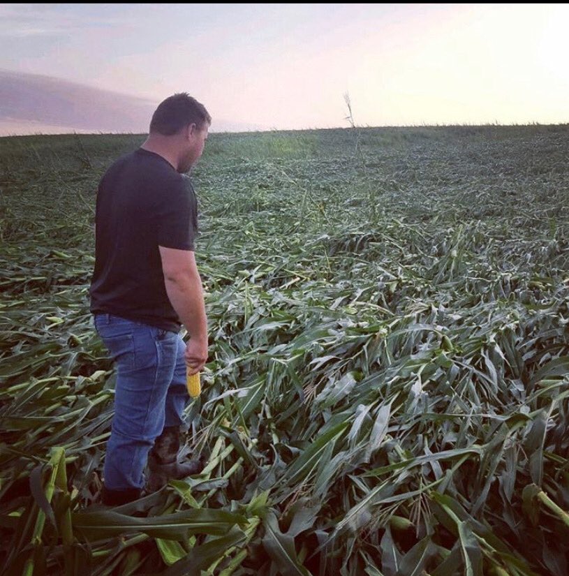 ashton kutcher tweet media