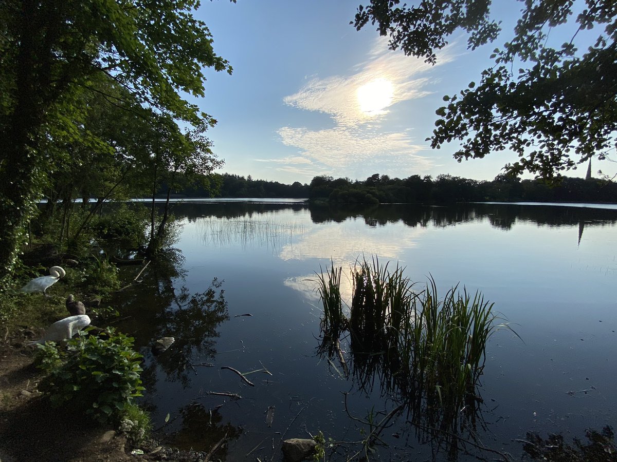 StevenMorgan40's tweet photo. #home 🙏❤️ #hillsborough #carchup #family #friends @wearetrekni @Dr_FaithG 🙏@barrabest @WeatherCee @angie_weather @geoff_maskell @ScenesOfUlster @BBCWthrWatchers @newslineweather https://t.co/V6qxYohcuY