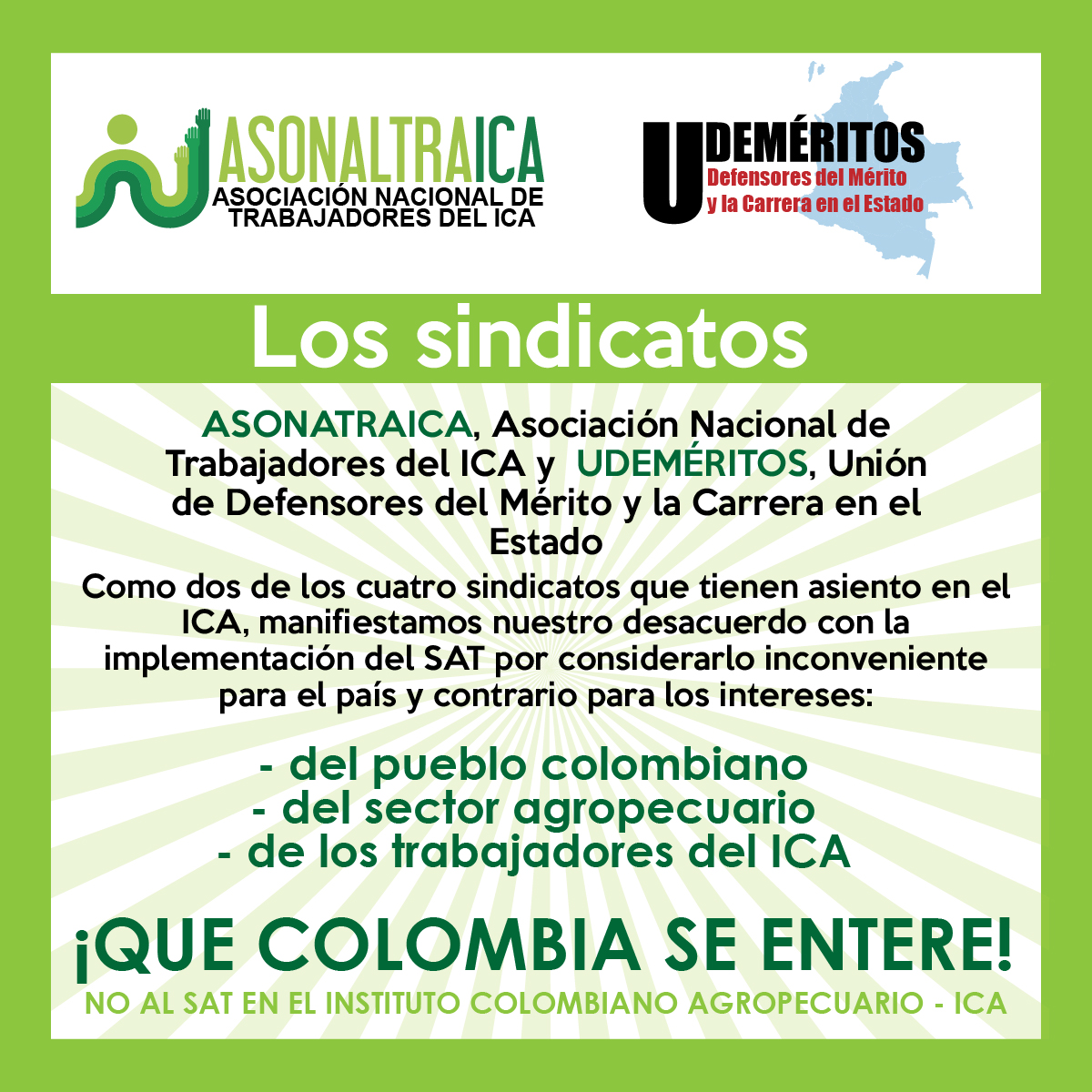 Asonaltraica tweet media