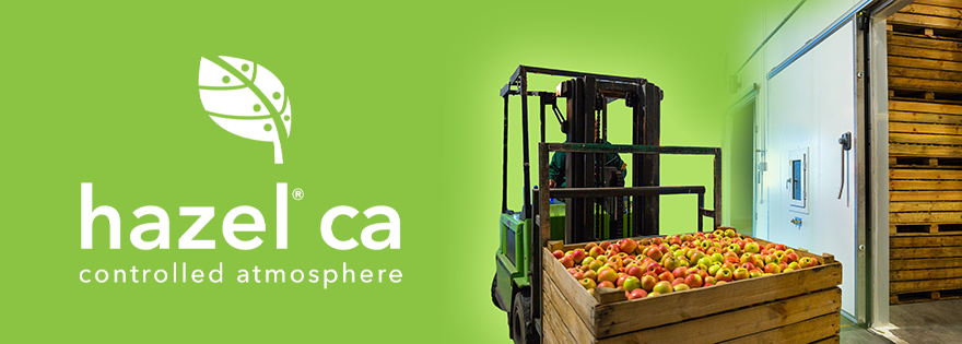 HazelTechUSA's tweet photo. Welcome to the family, Hazel® CA. Easy to use and no technician needed, our latest innovation in the Apple category will help protect quality in cold storage!
Link below for details!
https://t.co/60OT3Iadno
#agtech #hazeltech #apple #sustainability #coldstorage #freshfruit https://t.co/Dgw0OxuSTr