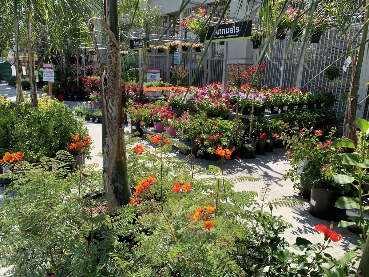 Ready for another great weekend at San Bernardino 610 Home Depot