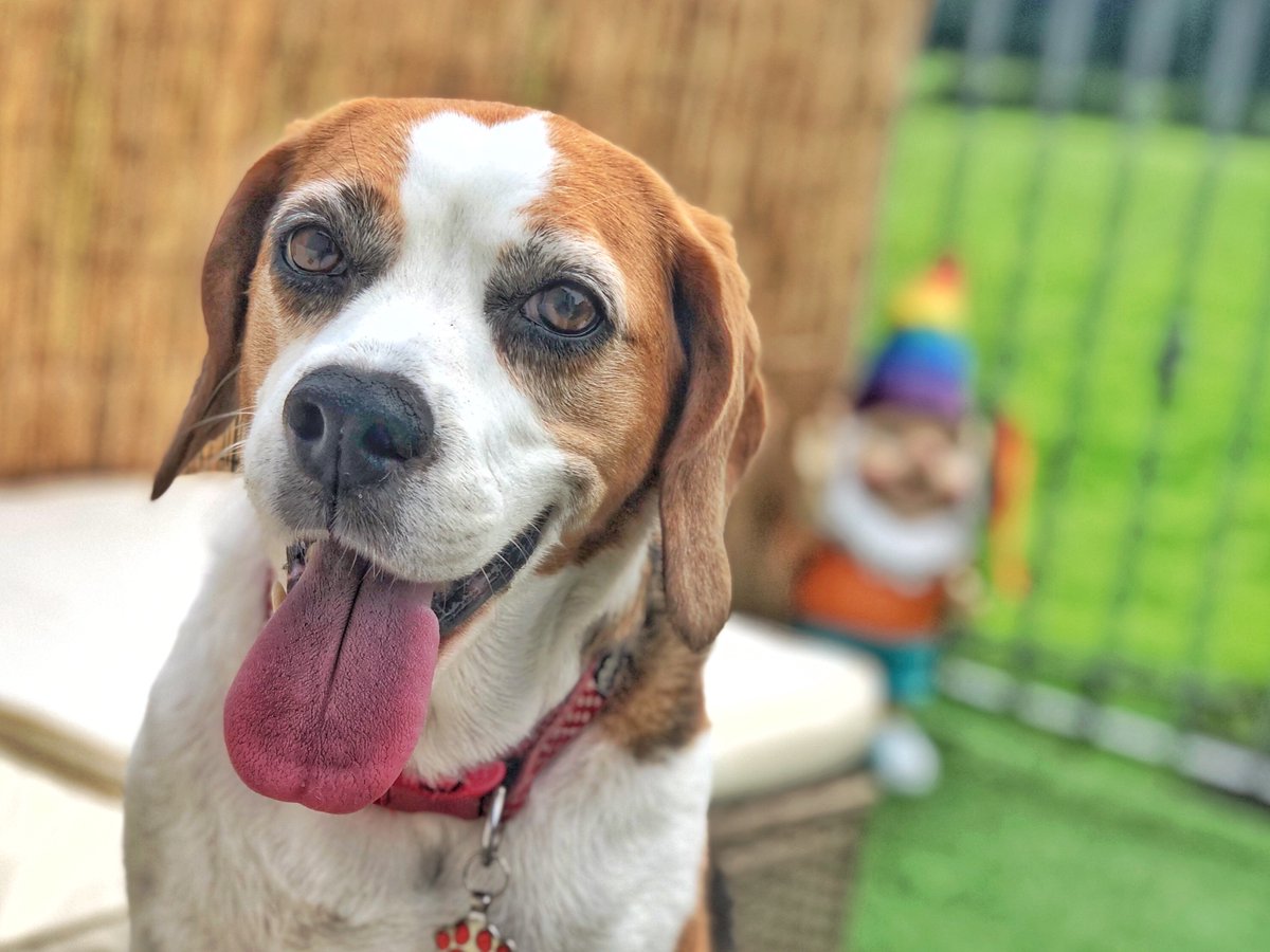 Ruby Garamond tweet media