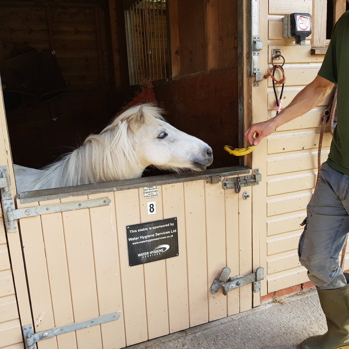 HopePastures's tweet photo. Hey everyone our visitors centre is open this weekend for snacks and drinks. 10am to 3pm come and have a chat and a look round. #leeds #freeadmission #rescuedonkeys #rescueponies https://t.co/cnM2JLSADE