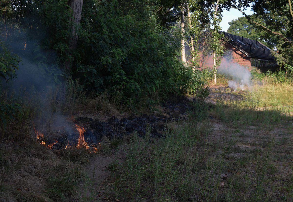 Brand in bosschage, vermoeden van brandstichting -..