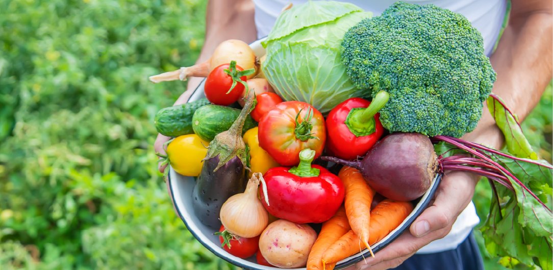 PlazMercado's tweet photo. Encuentra en #PlazMercado todo lo que necesitas para vivir una vida en equilibrio. Somos bienestar, frutas y verduras a domicilio. #vivirenbienestar #somosbienestar #somosplaz #frutasyverduras https://t.co/sR2ZQxE5UI