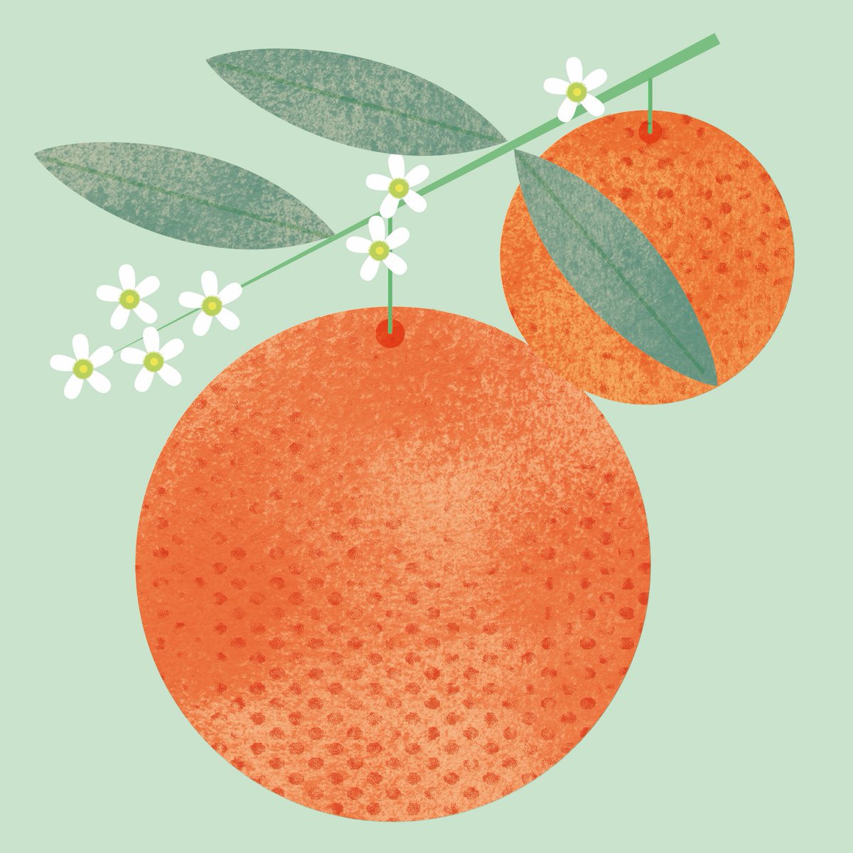 Fruity Friday 😊 🍊 #illustration #fruit #tangerine