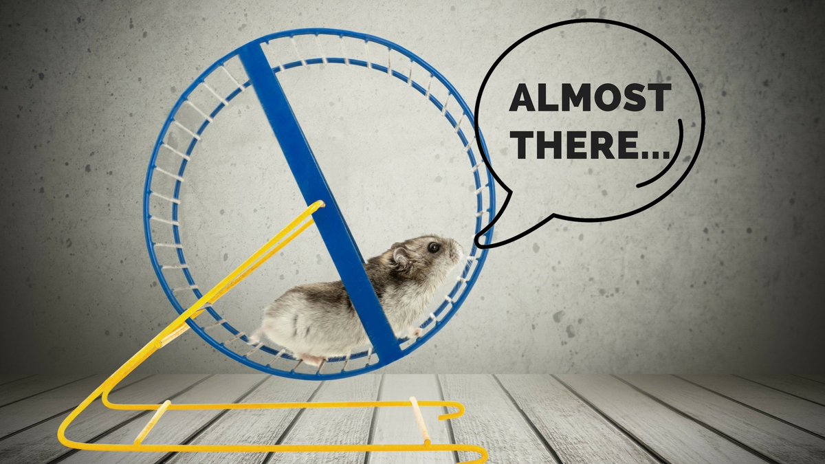 هل سمعت عن عجلة الهامستر كائن لطيف داخل عجلة مصممة خصيصا حتى تسمح له بالركض عندما لايتوفر لديه خيار آخر وهو تعريف مجازي بعالم التسويق مثلا Twitter Thread From Hasan Mattar