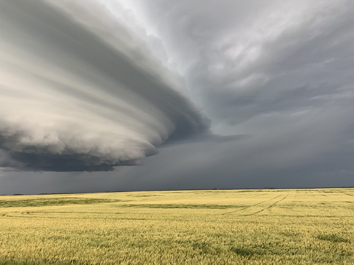 cujo1smith's tweet image. ⁦@mikesobel⁩ ⁦@GlobalEdmonton⁩ Picture taken West of Rosalind AB on August 11, 2020