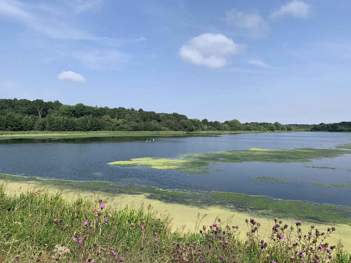 1974Parky's tweet photo. So lucky to have such beautiful walks on the door step!
#newmillerdam #walton #notton
Friday afternoon making the most of the sunshine with little Miss P 🐾 https://t.co/HleZB7usG7