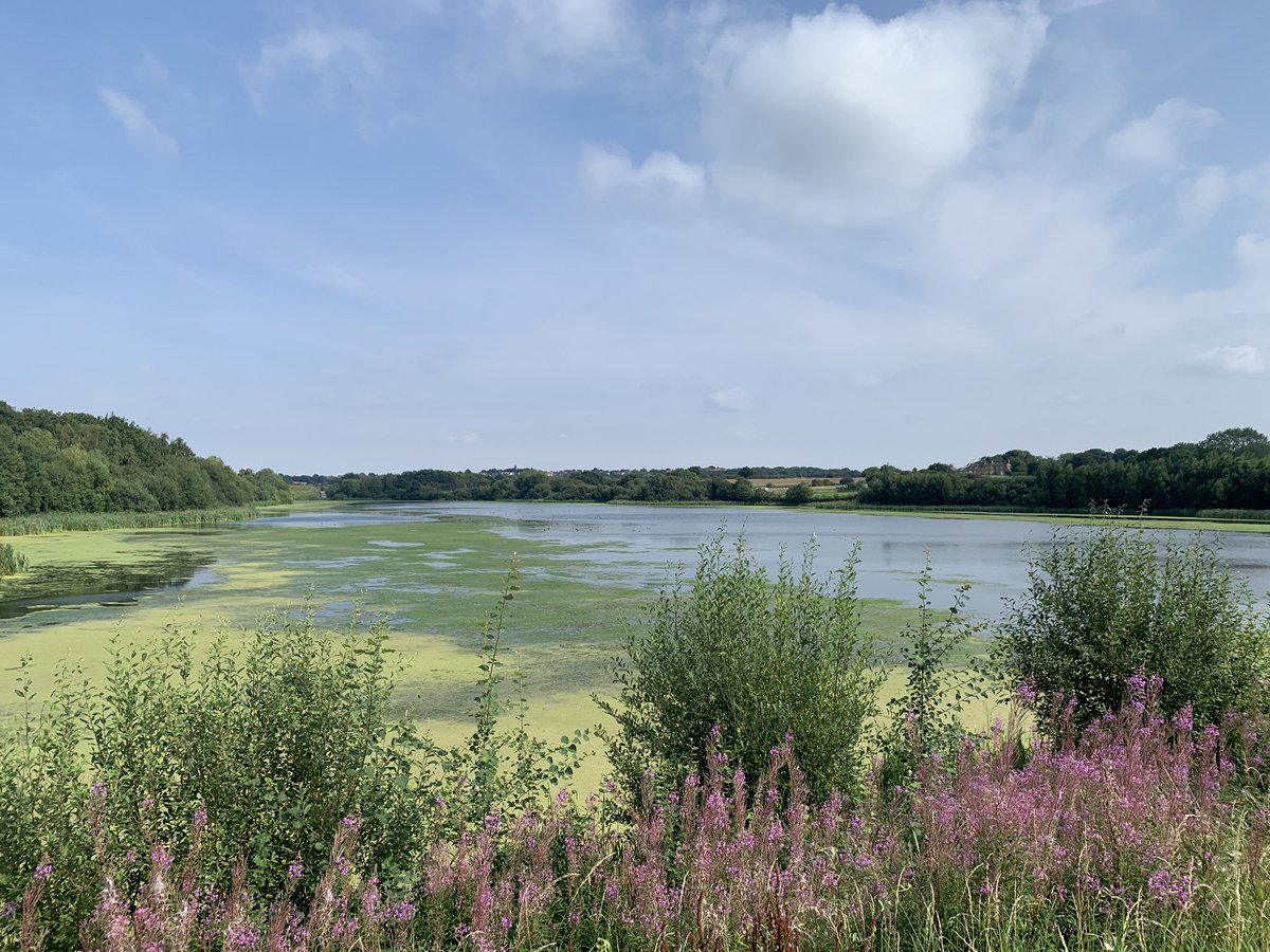 1974Parky's tweet photo. So lucky to have such beautiful walks on the door step!
#newmillerdam #walton #notton
Friday afternoon making the most of the sunshine with little Miss P 🐾 https://t.co/HleZB7usG7
