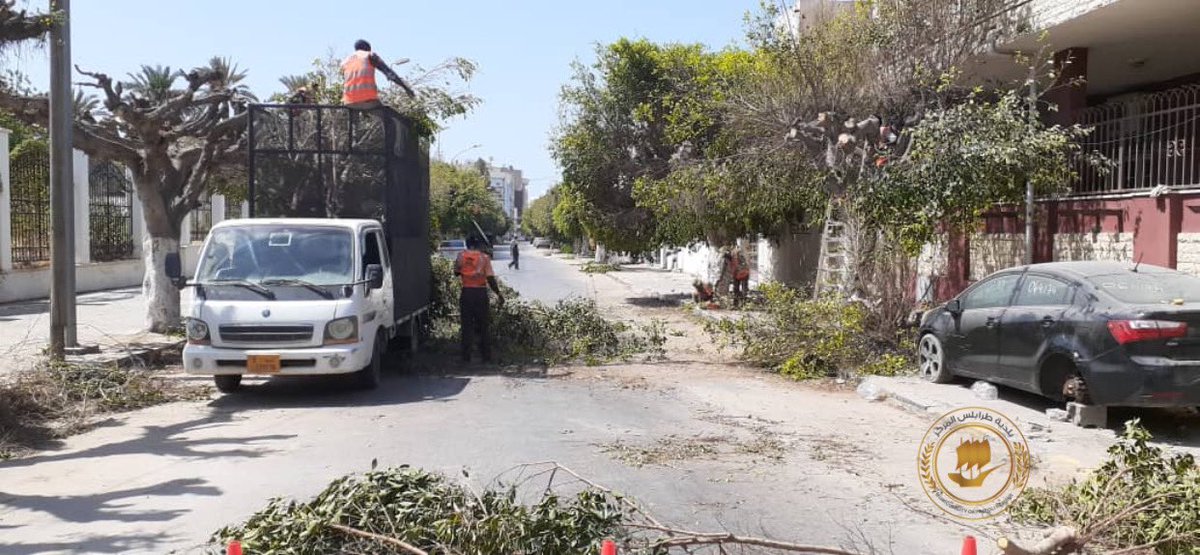 إستمرار أعمال تقليم الأشجار في محيط قصر الخلد في محلة الظهرة ضمن الحملة التي تقوم بها بلدية طرابلس المركز لإعادة تهيئة أشجار الفيكس بالبلدية.

#بلدية_طرابلس_المركز