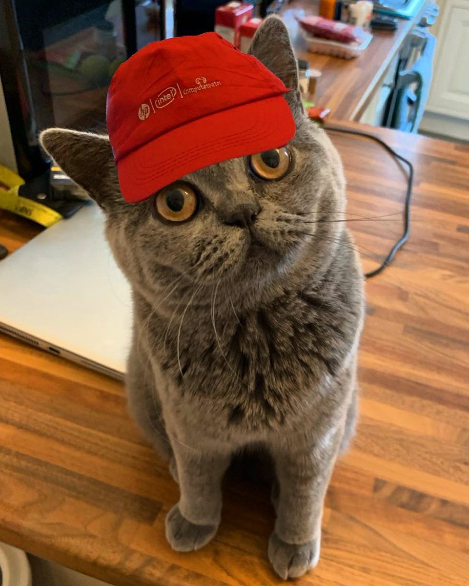 Ry_pie's tweet photo. My human is on AL now, but I’m going to be his Coach to make sure he racks up the miles for Team Enterprise!! #CCRaceToPA is heating up and I’m thankful to @HP @intel for getting me a hat! #Intel #HPRacetoPA #PowerfulPartnerships #computacenter #enablingusers @ComputacenterUK https://t.co/ARluNEpaPS