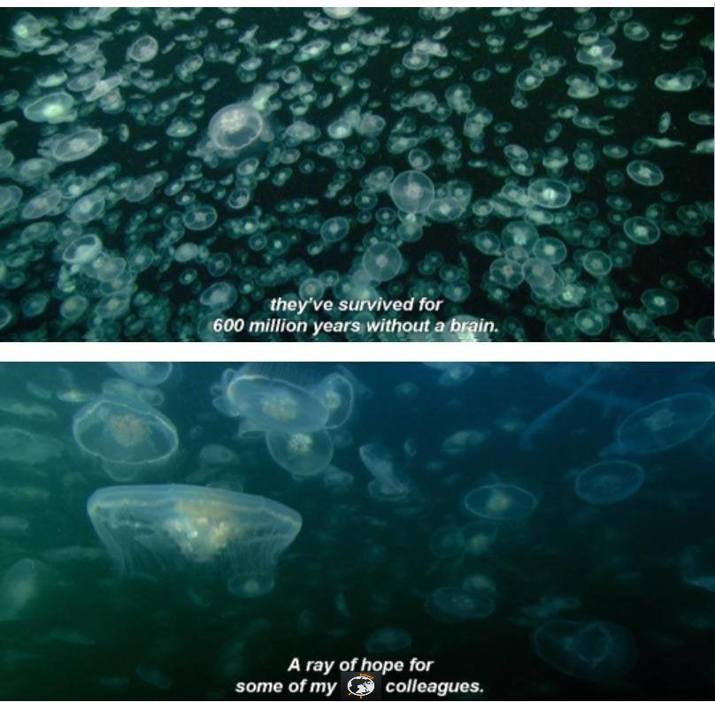 Axial Tilt 🌍 tweet media