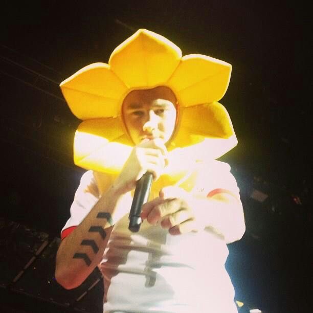 liam as a sunflower