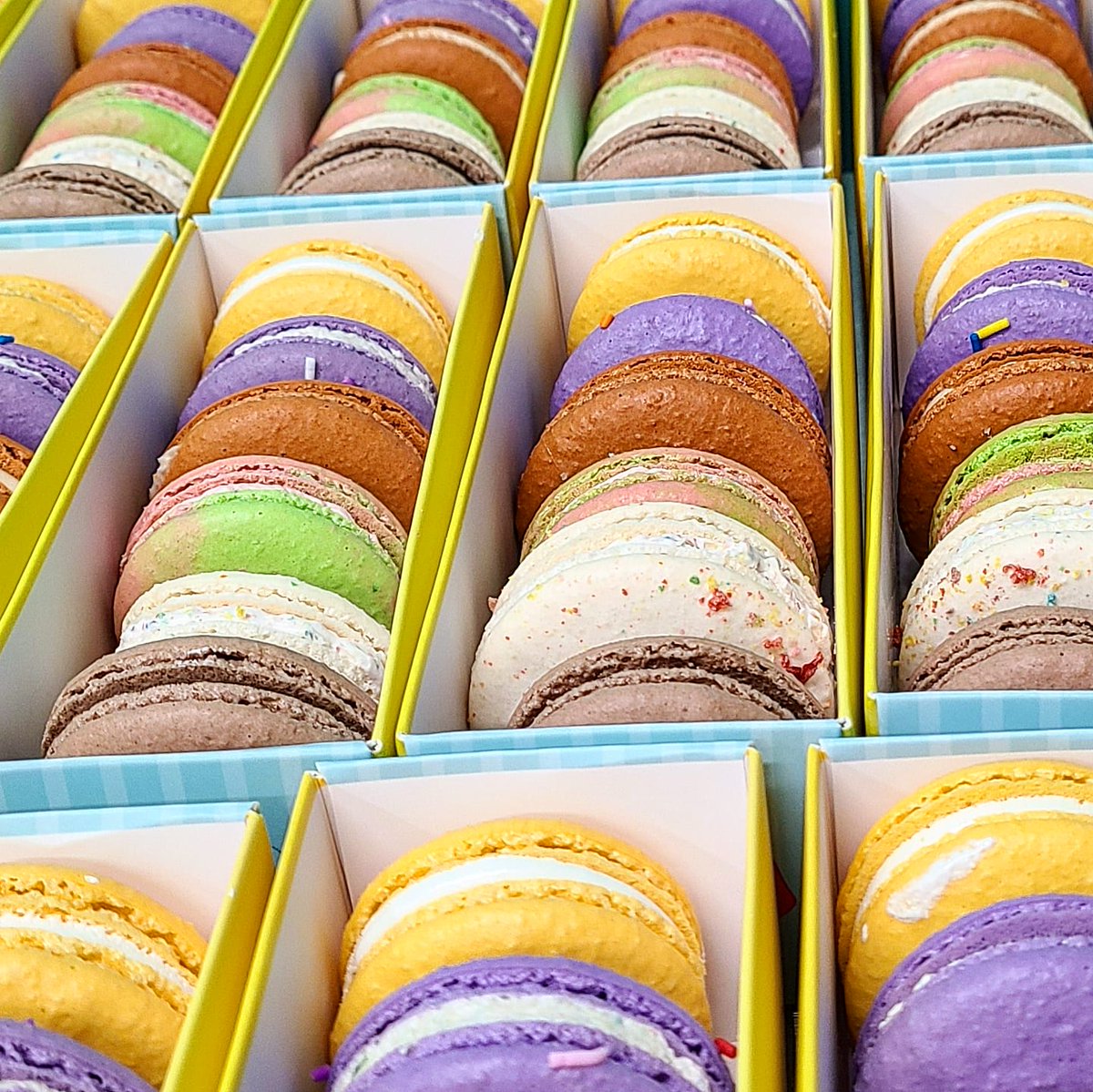 WhippedUpYEG's tweet photo. Packing up the assorted macaron sleeves for tomorrow! Are you a one of each or two of each mac lover?

Flavours in the assorted packs are
Salted Caramel
Strawberry Kiwi
Chocolate
Lemon Marshmallow
Fruity Pebbles
Birthday Cake

Grab yours Saturday &amp; Sunday at @YegdtMarket #yegdt https://t.co/i0p0aR2Wg3