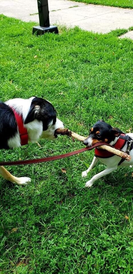 Maria Mastronardi tweet media