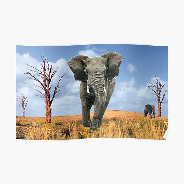 kianblacklab's tweet image. Happy #GaneshaChaturthi2020 to all those who believe in animals. I am a dog in the #afterworld and I love hoomans and anmials. @amtmindia @PetaIndia @pfaindia @HumansOfBombay @IDA_India @worldforall #dogliness