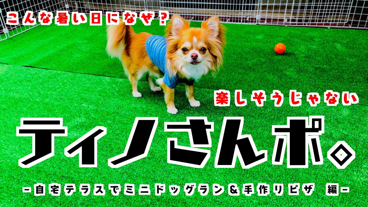 Qちゃん Team ミクリ 今回のティノさんぽは 自宅テラスで手作りドッグランとピザです Youtubeでチワワのティノさんが散歩している動画 ワンちゃん情報としてお役に立てれば幸いです チワワ Chihuahua ティノさんぽ ドッグラン Diy ピザ チワワ Qちゃん Team ミクリ 今回のティノさんぽは 自宅テラスで手作りドッグランとピザです Youtubeでチワワのティノさんが散歩している動画 ワンちゃん情報としてお役に立てれば幸いです チワワ Chihuahua ティノさんぽ ドッグラン Diy ピザ チワワ