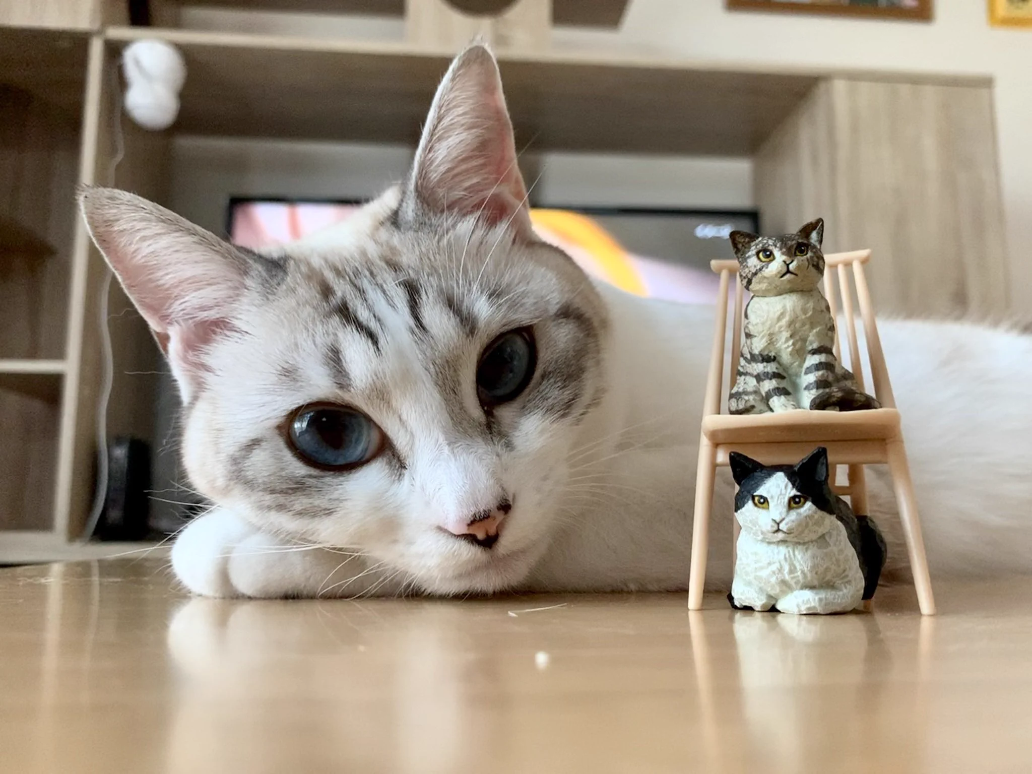 はしもとみお on X: 
