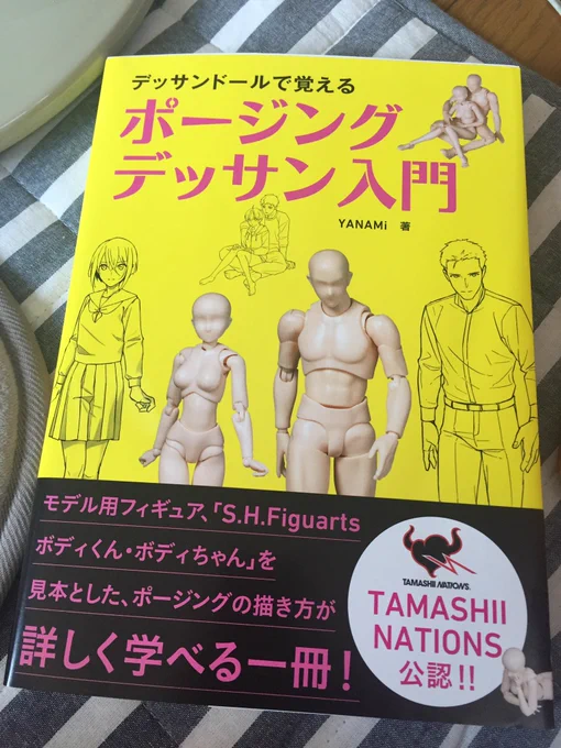 せっかく街に行ったので買ってきた本です…
YANAMi先生の本はとても参考になるので好きです 