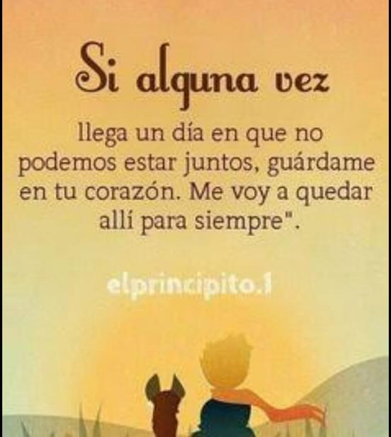 rositacuello's tweet photo. https://t.co/0UGO0jyqAu